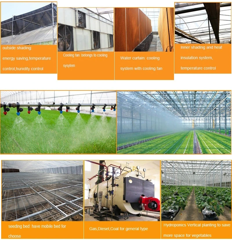 Agricultural Vegetable Tunnel Multi-Span Plastic/Polycarbonate Sheet PC/Glass/Greenhouse for Farming /Hydroponic