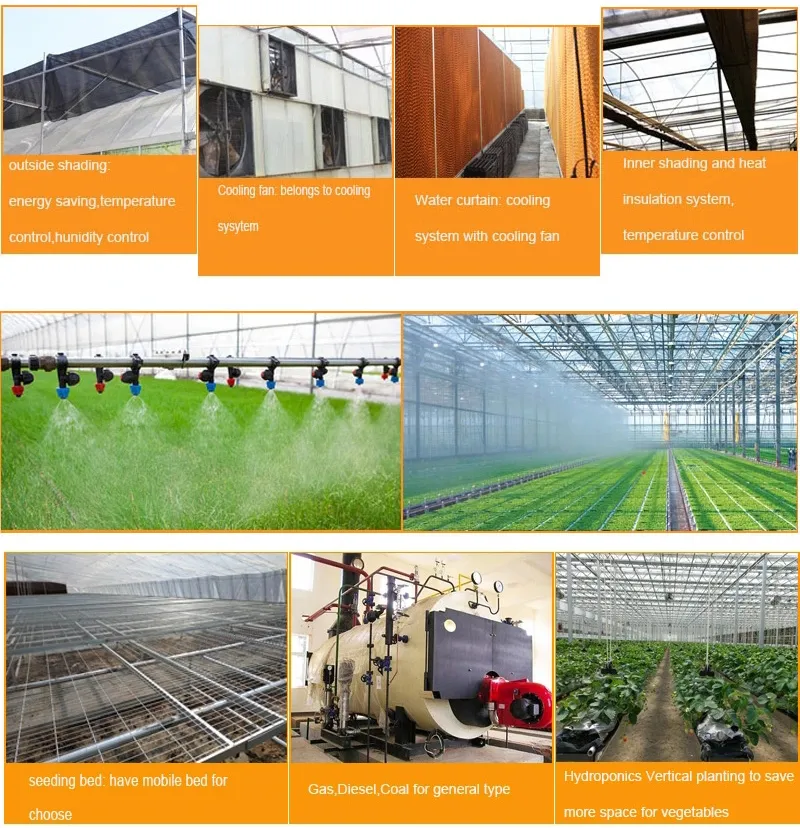 Hydroponic System with Plastic Film/ Venlo Po Film Greenhouse for The Farm Plants