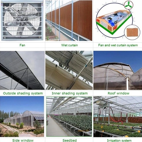 Agricultural Vegetable Tunnel Multi-Span Plastic/Polycarbonate Sheet PC/Glass/Greenhouse for Farming /Hydroponic
