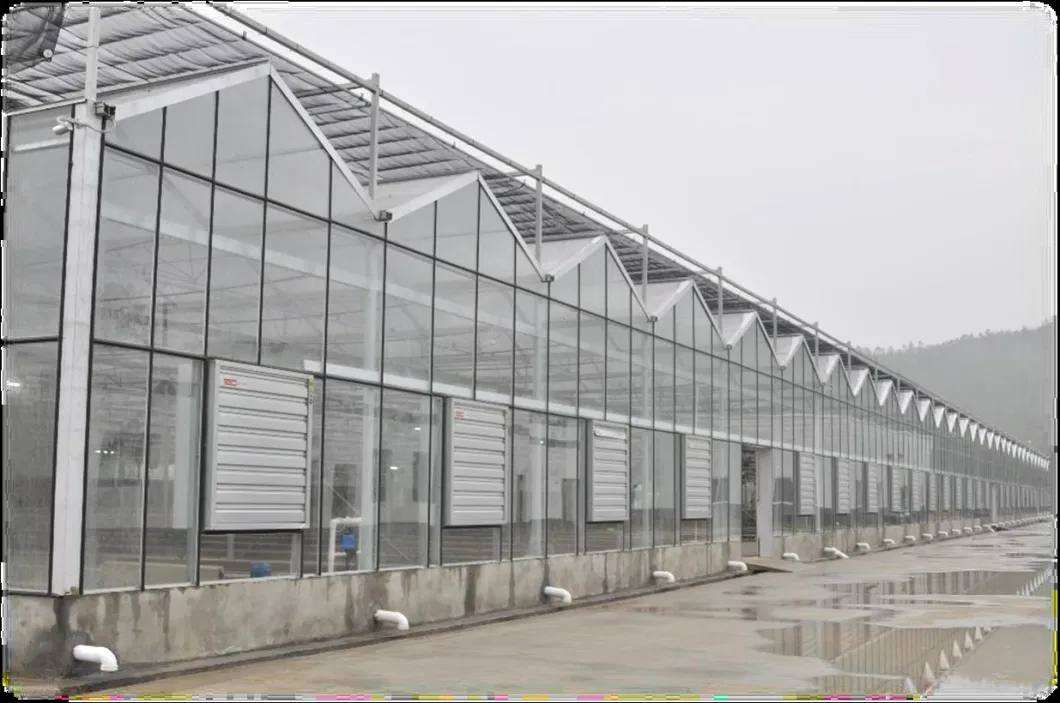 Opaque Polycarbonate Sheet Greenhouse for Herbs