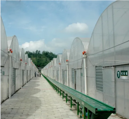 PC Sheet / Polycarbonate Greenhouse for Flower Growing