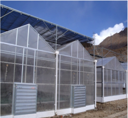 Polycarbonate Material Polycarbonate Sheet PC Used Commercial Greenhouse